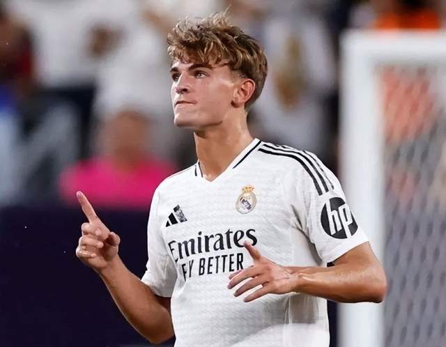 它们不仅容 它们不仅容